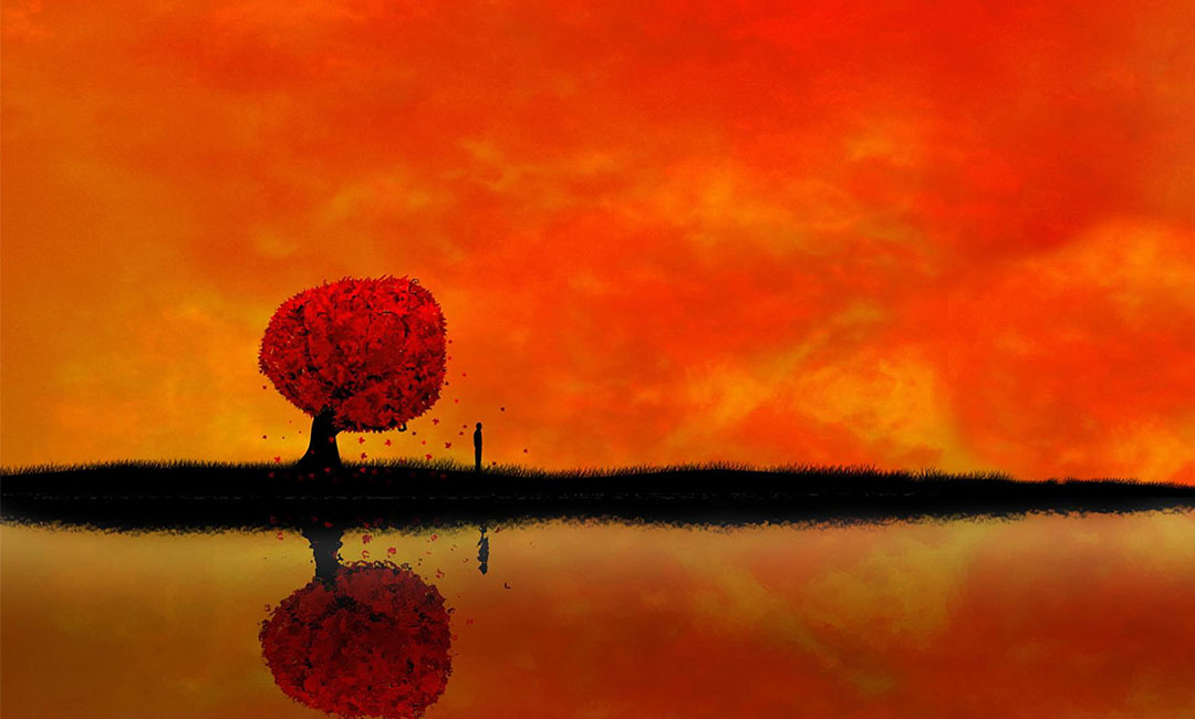 阿拉尔笙影微信朋友圈转发案例